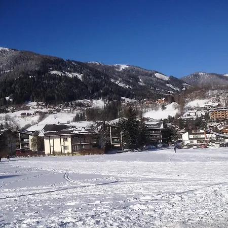 Appartementanlage Bach * 巴德小基希海姆