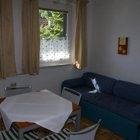 Appartementanlage Bach 公寓